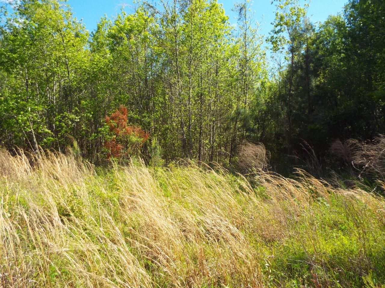 000 Central Avenue Photo 5