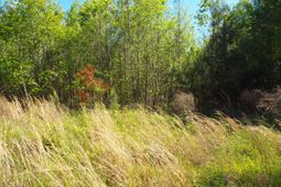 000 Central Avenue photo 4