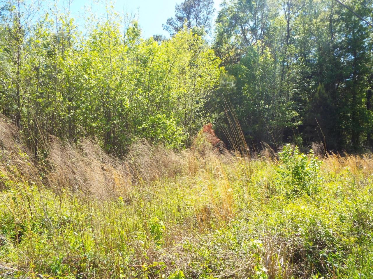 000 Central Avenue Photo 6