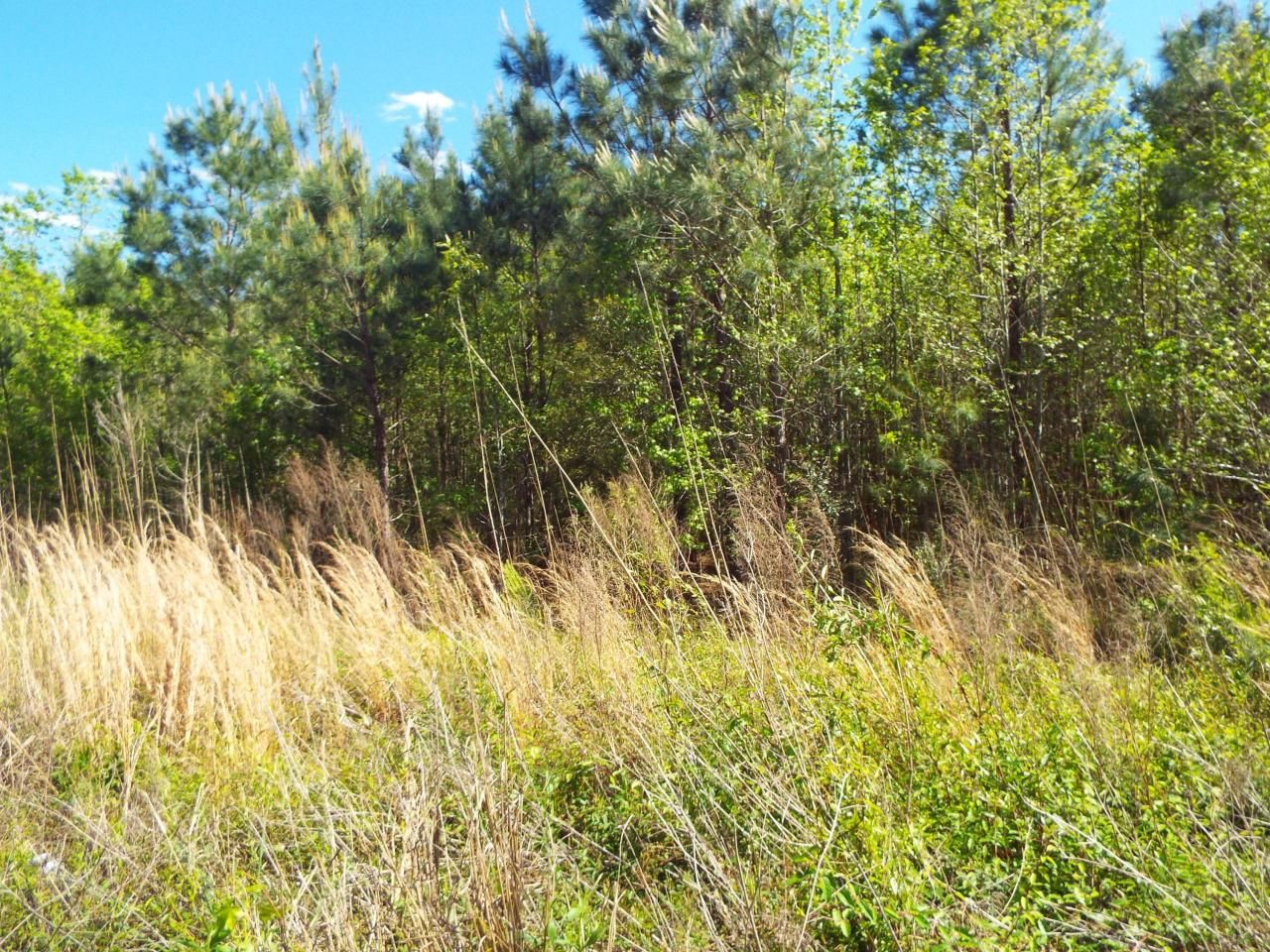 000 Central Avenue Photo 7