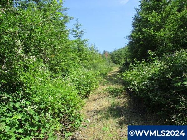 000 Thomas Creek Dr, Scio, OR 97374