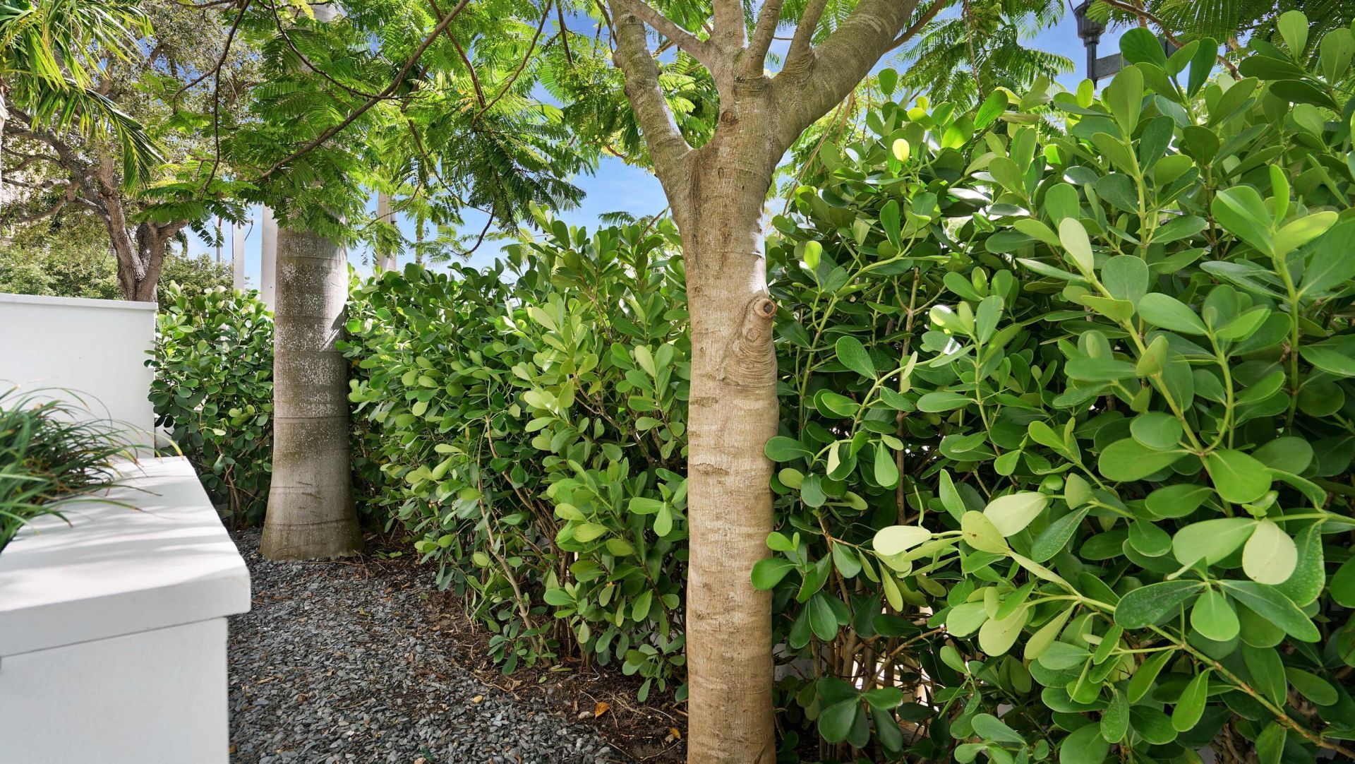 155 E Boca Raton Road, Unit Th3, Boca Raton, FL 33432 Photo