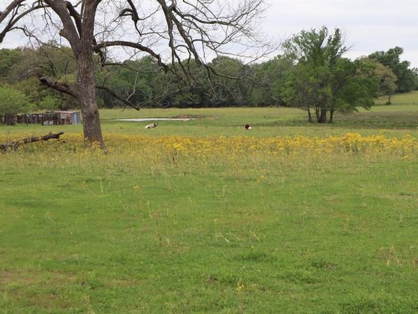 TBD Rs County Road 2365, Alba, TX 75410