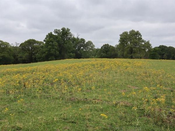 TBD Rs County Road 2365, Alba, TX 75410