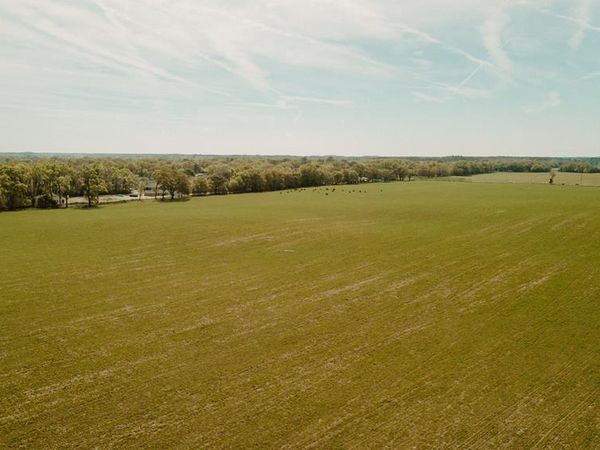 000 SW 180th Ave, Dunnellon, FL 34432