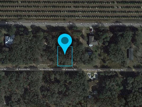 3180 W ANSONIA ROAD, AVON PARK, FL 33825