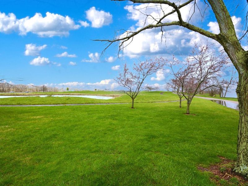 1345 Legend Lane, Alexandria, OH 43001 Photo 12