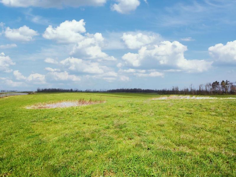 1345 Legend Lane, Alexandria, OH 43001 Photo 19