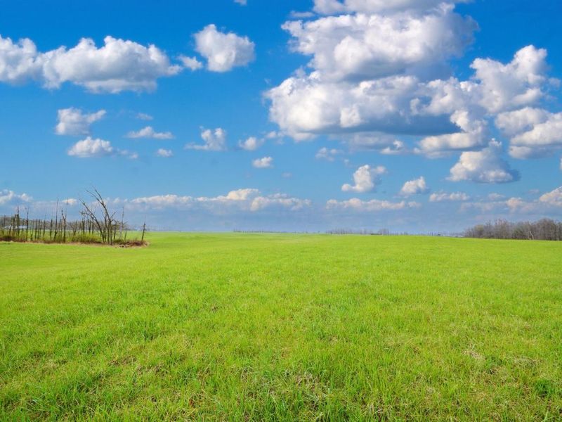 1345 Legend Lane, Alexandria, OH 43001 Photo 27