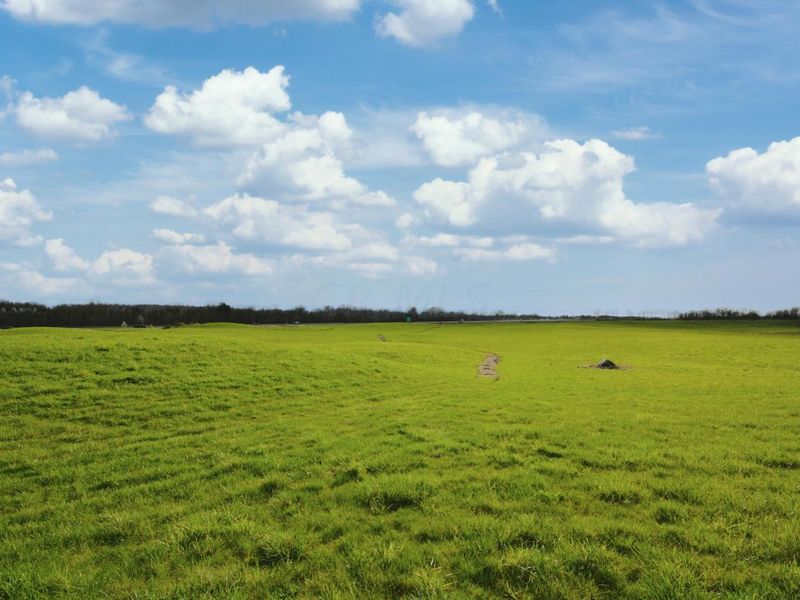 1345 Legend Lane, Alexandria, OH 43001 Photo 34