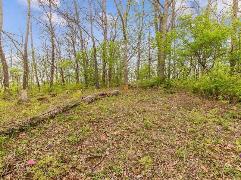 4231 River Road, Unit Parcel-C, Hebron, KY 41048 Photo 5