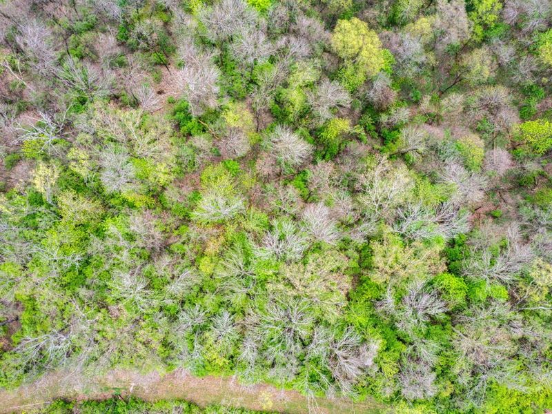 4231 River Road, Unit Parcel-A, Hebron, KY 41048 Photo 10