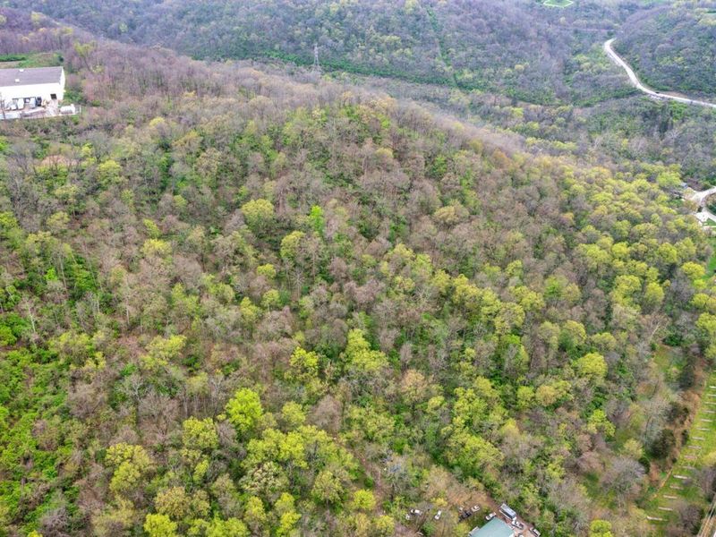 4231 River Road, Unit Parcel-A, Hebron, KY 41048 Photo 16