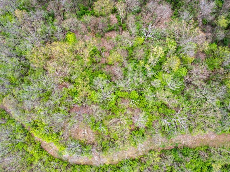 4231 River Road, Unit Parcel-A, Hebron, KY 41048 Photo 9