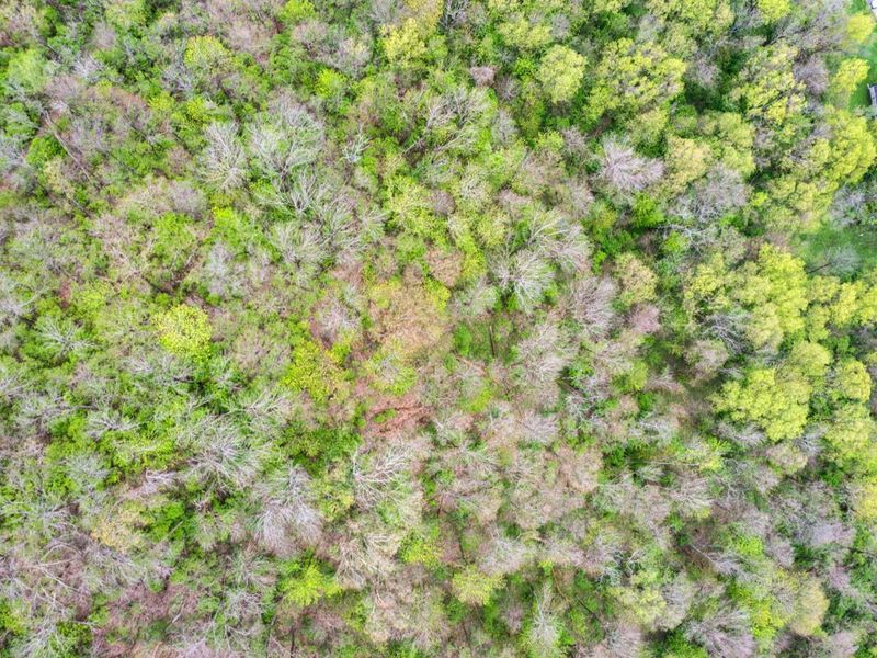 4231 River Road, Unit Parcel-B, Hebron, KY 41048 Photo 11