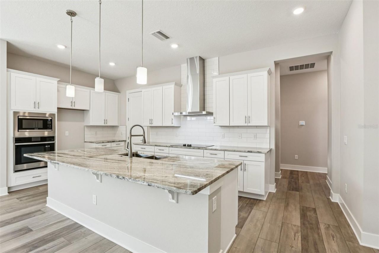 32298 Wetland Bird View, San Antonio, FL 33576 Photo