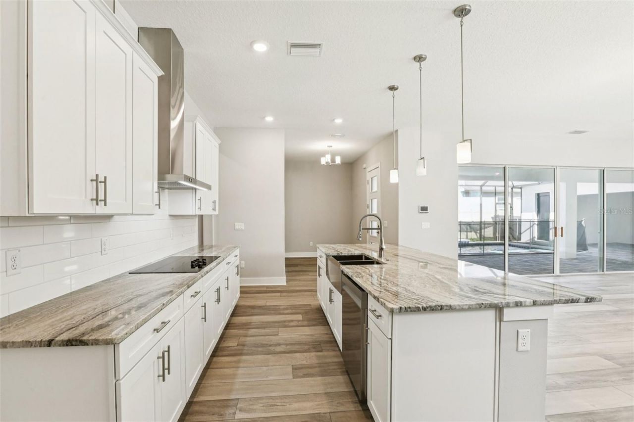 32298 Wetland Bird View, San Antonio, FL 33576 Photo