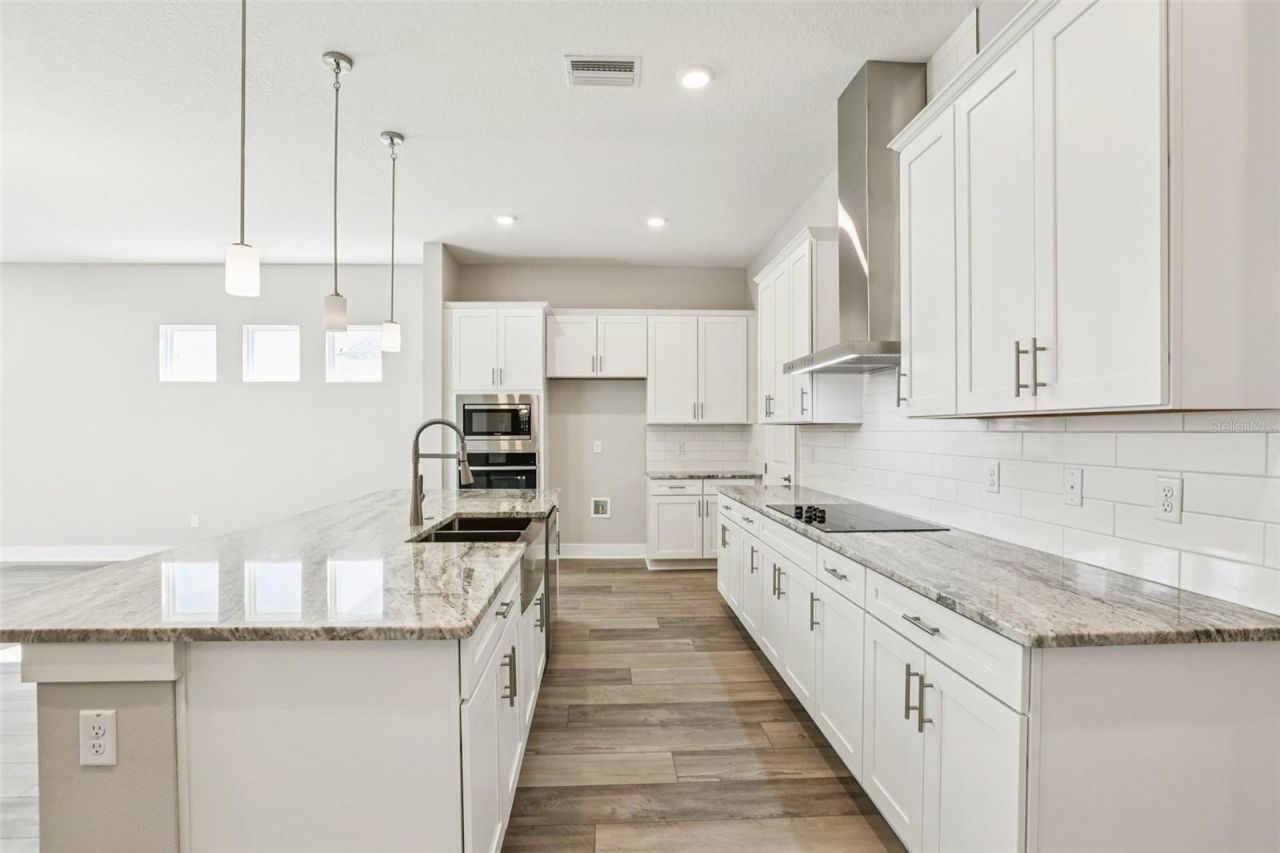 32298 Wetland Bird View, San Antonio, FL 33576 Photo