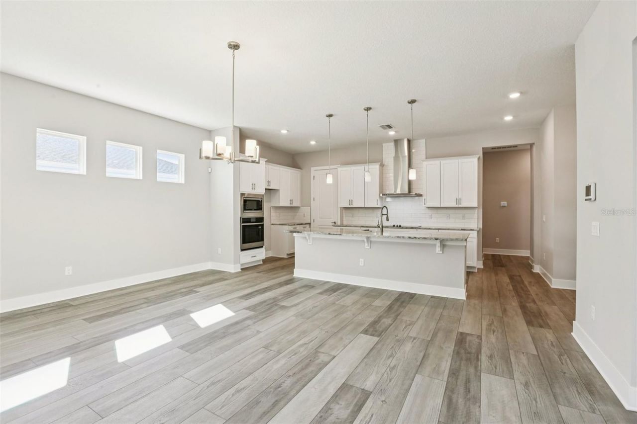 32298 Wetland Bird View, San Antonio, FL 33576 Photo