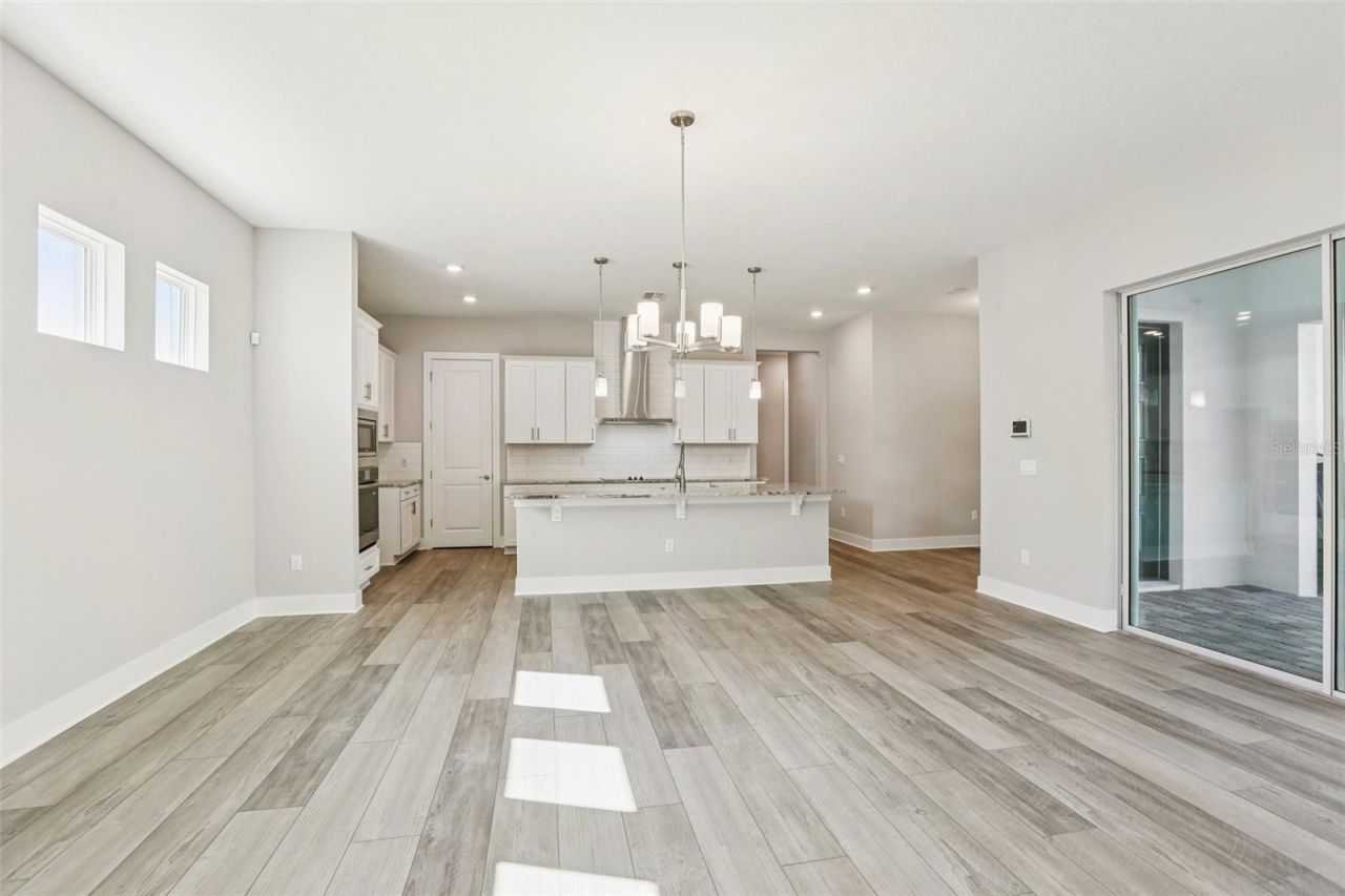 32298 Wetland Bird View, San Antonio, FL 33576 Photo