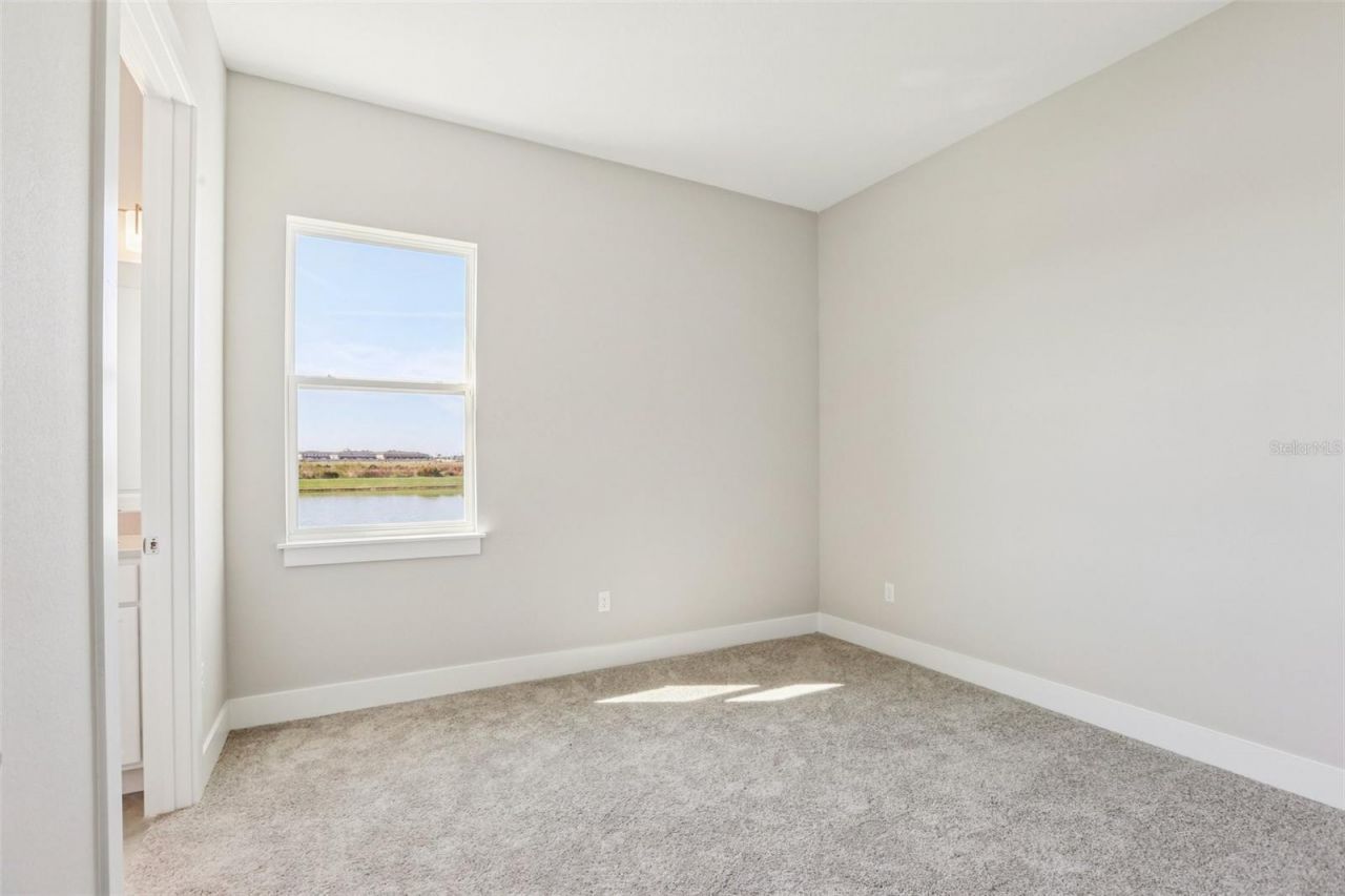 32298 Wetland Bird View, San Antonio, FL 33576 Photo