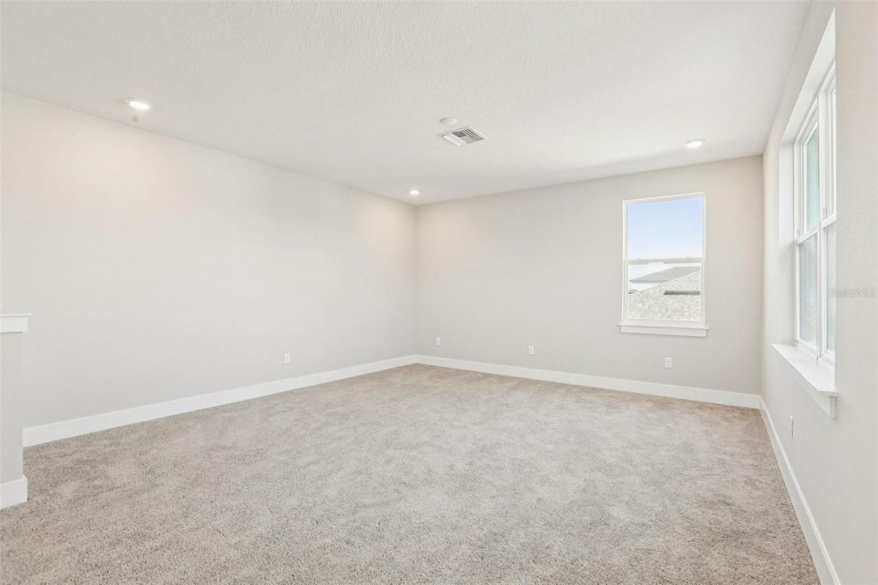 32298 Wetland Bird View, San Antonio, FL 33576 Photo