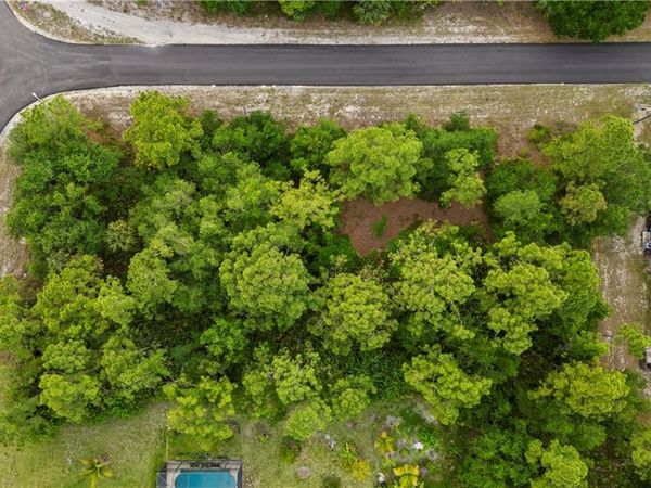 2002 Edward AVE, ALVA, FL 33920