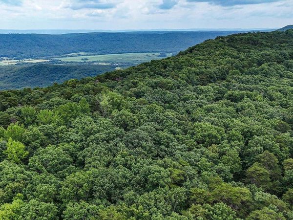 0 Hwy 157, Menlo, GA 30731