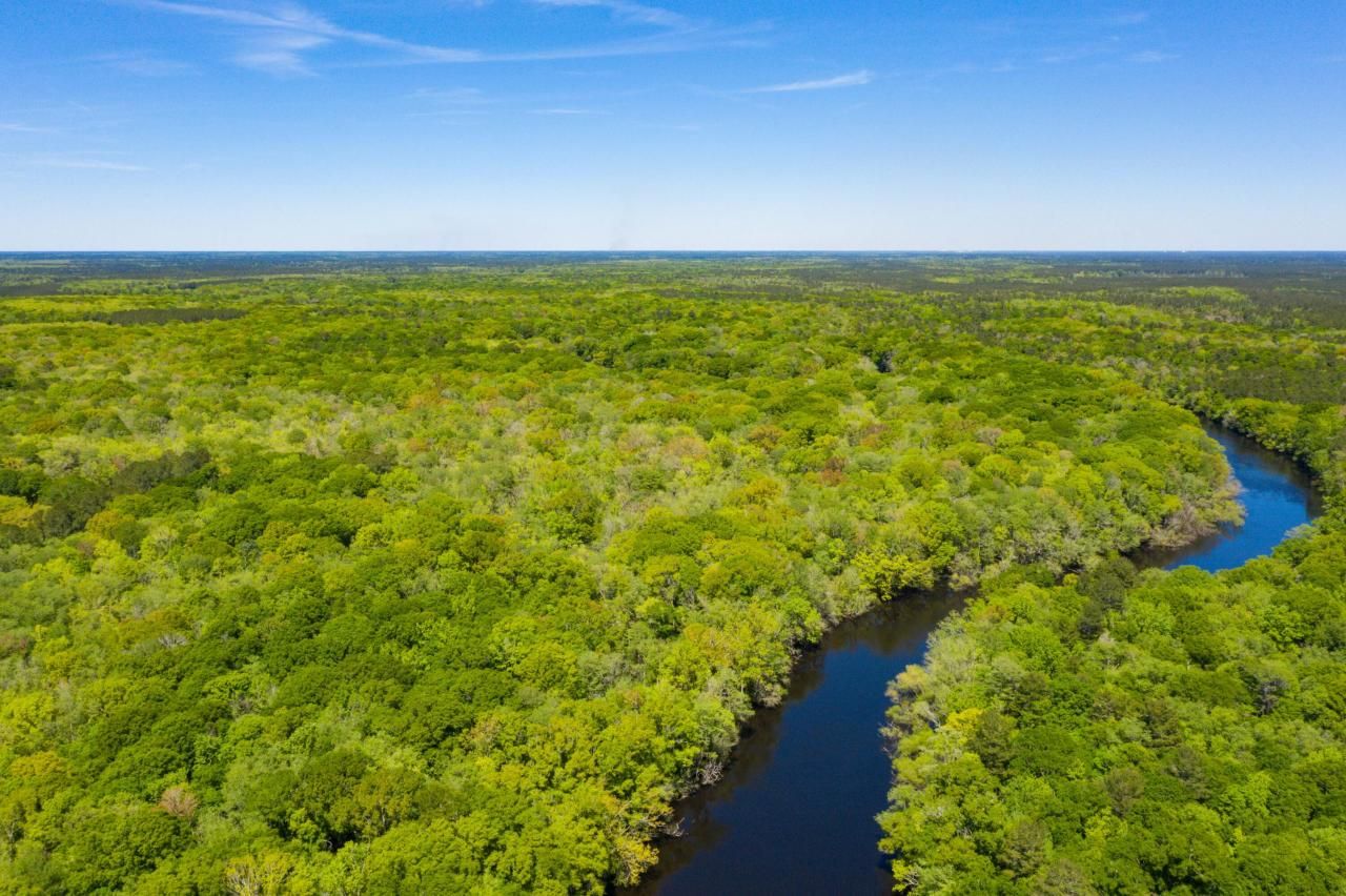 0 Red Breast Court Photo 12