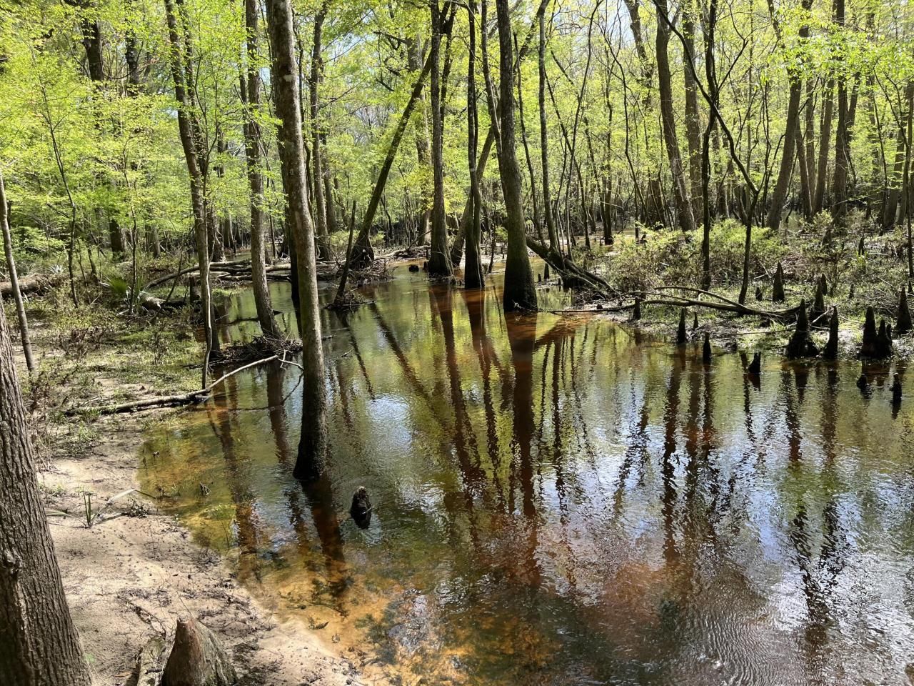 0 Red Breast Court Photo 13