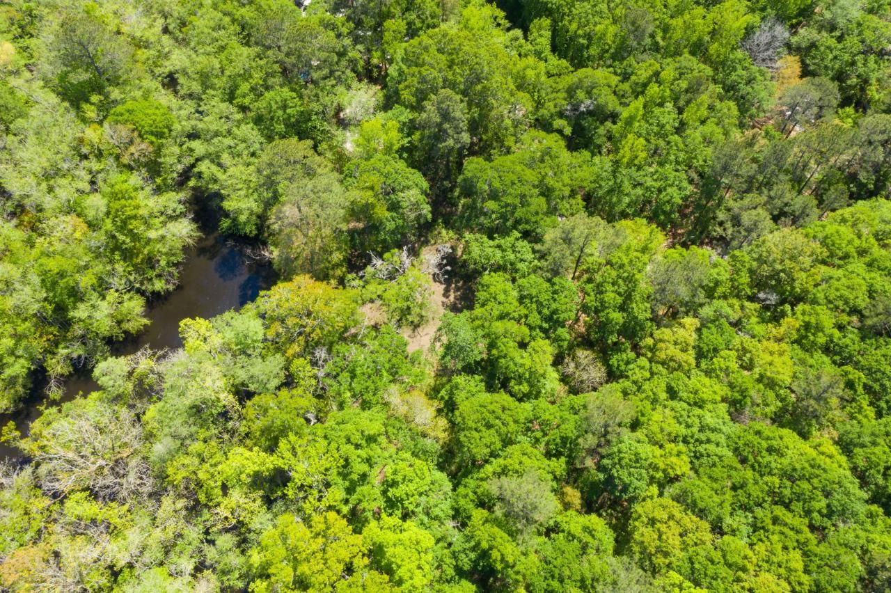 0 Red Breast Court Photo 27