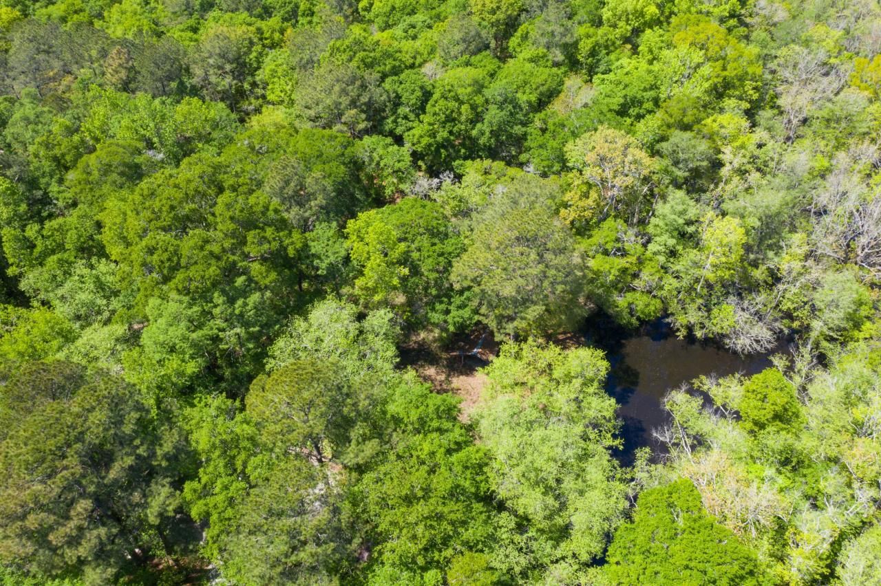 0 Red Breast Court Photo 30