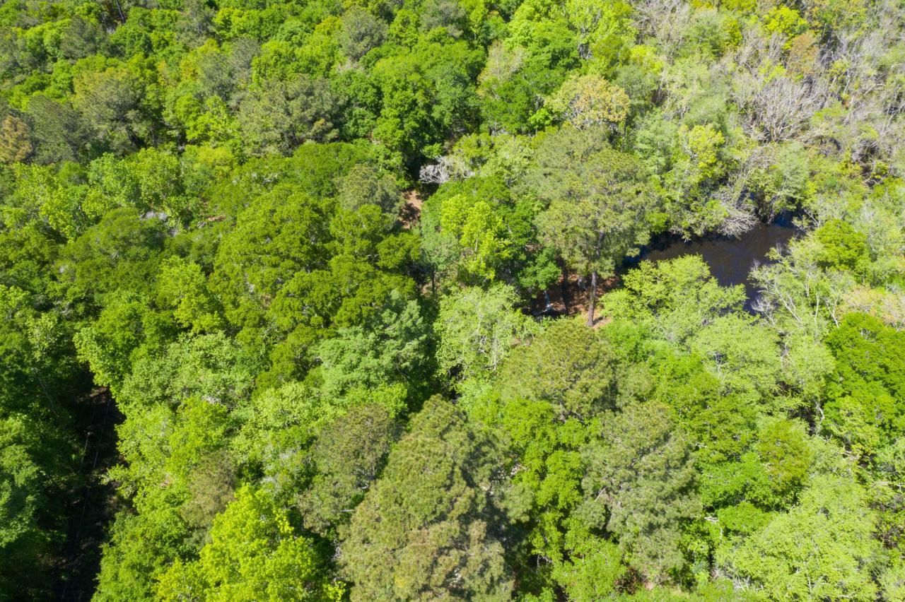 0 Red Breast Court Photo 31