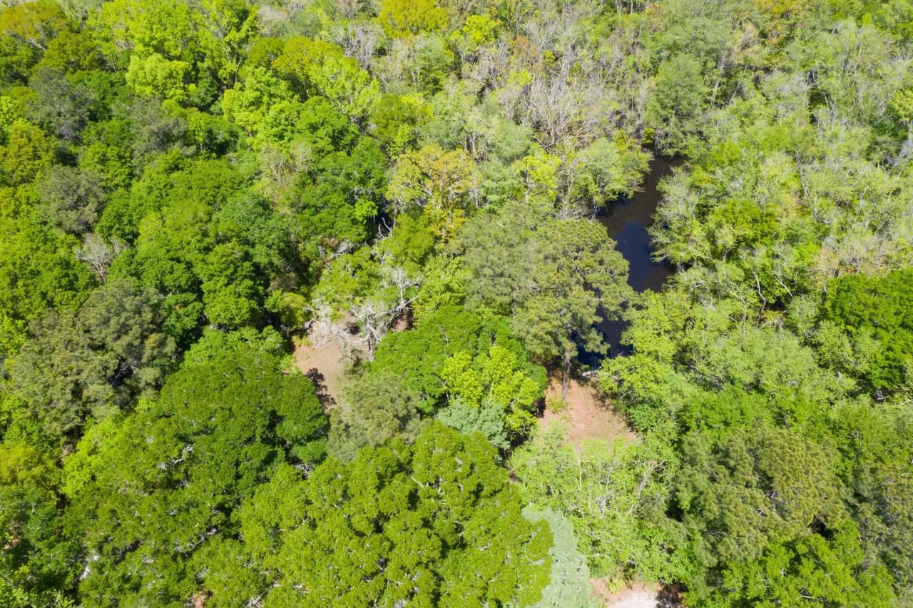 0 Red Breast Court Photo 32