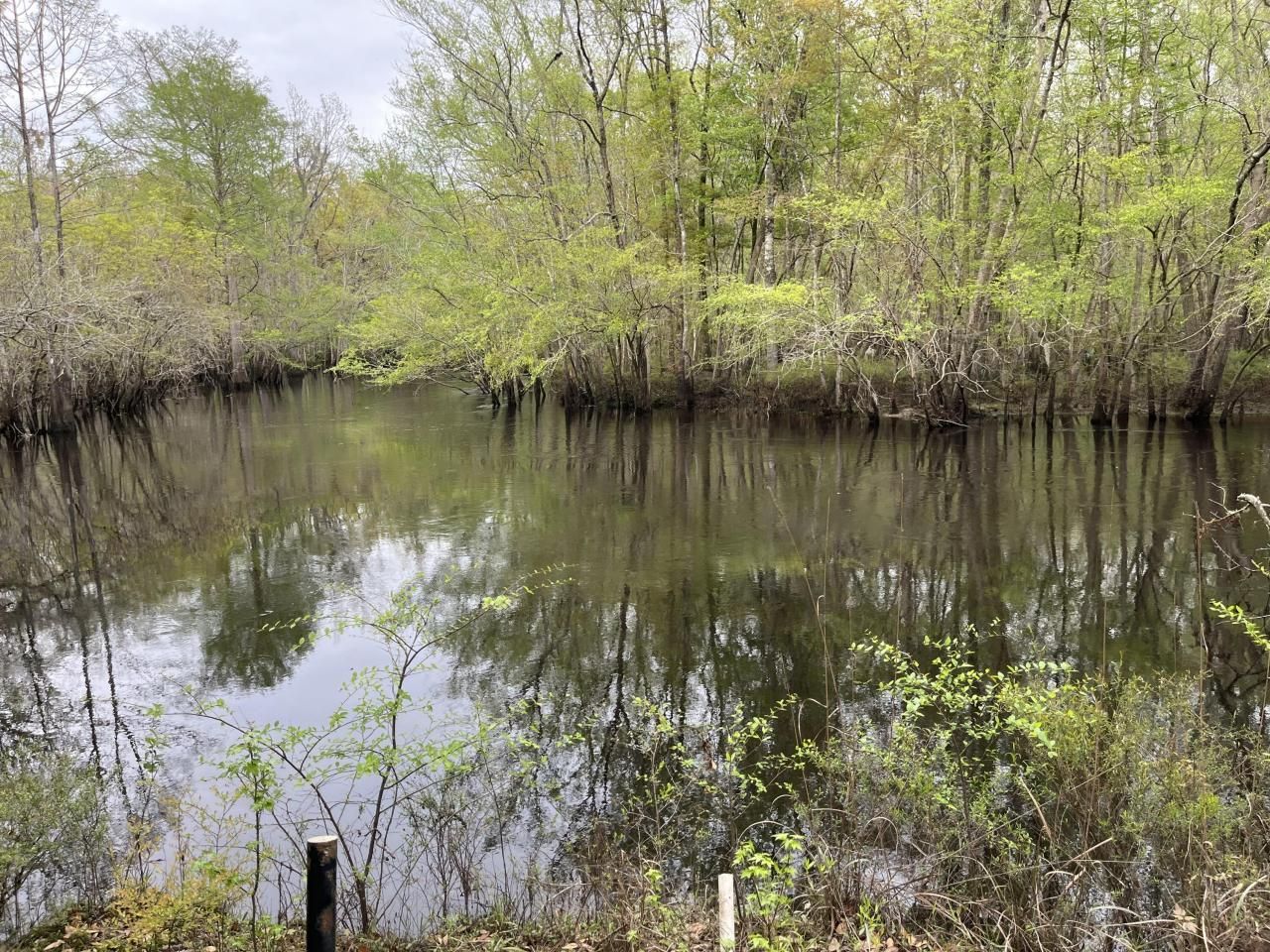 0 Red Breast Court Photo 35