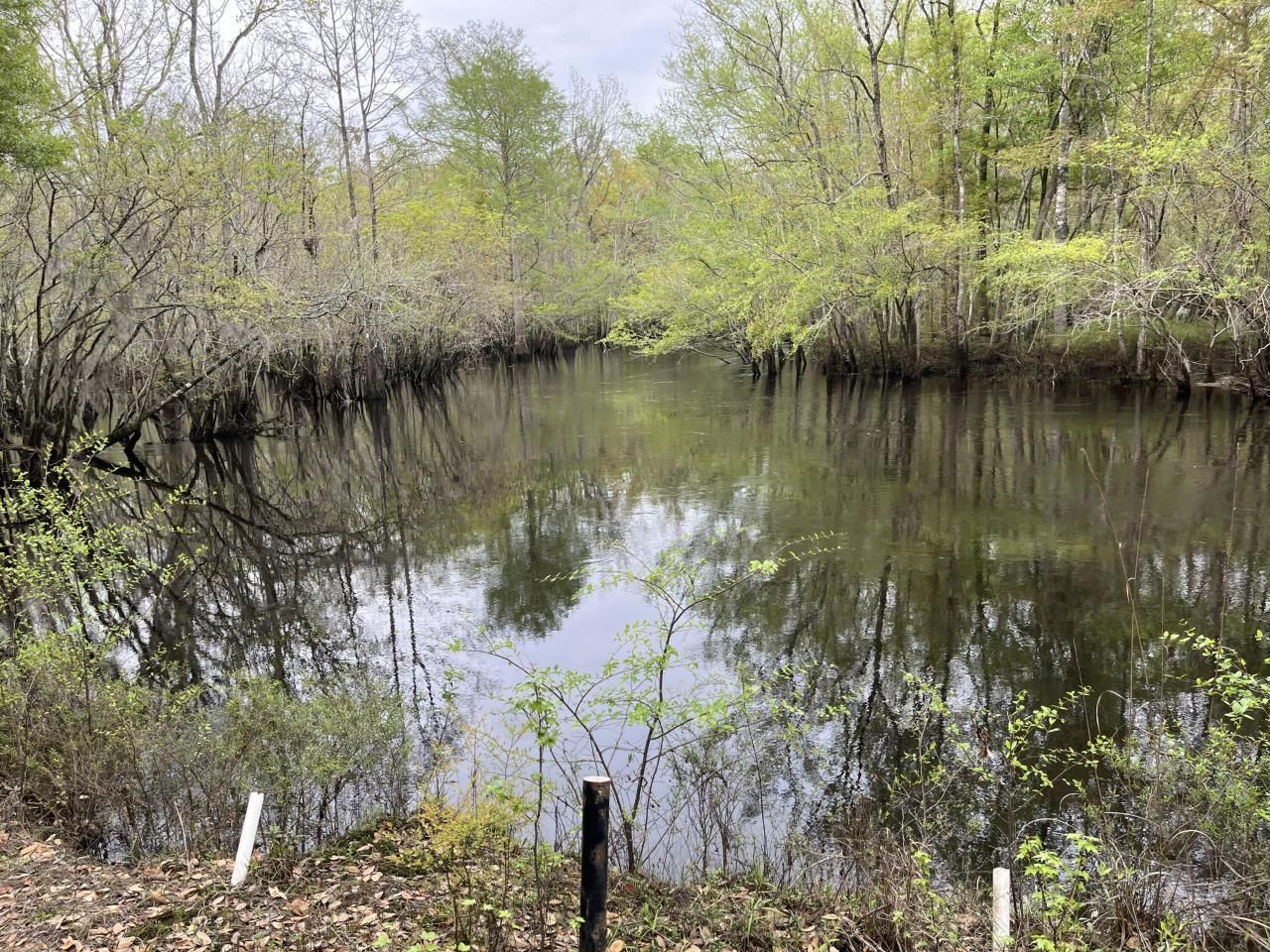 0 Red Breast Court Photo 36