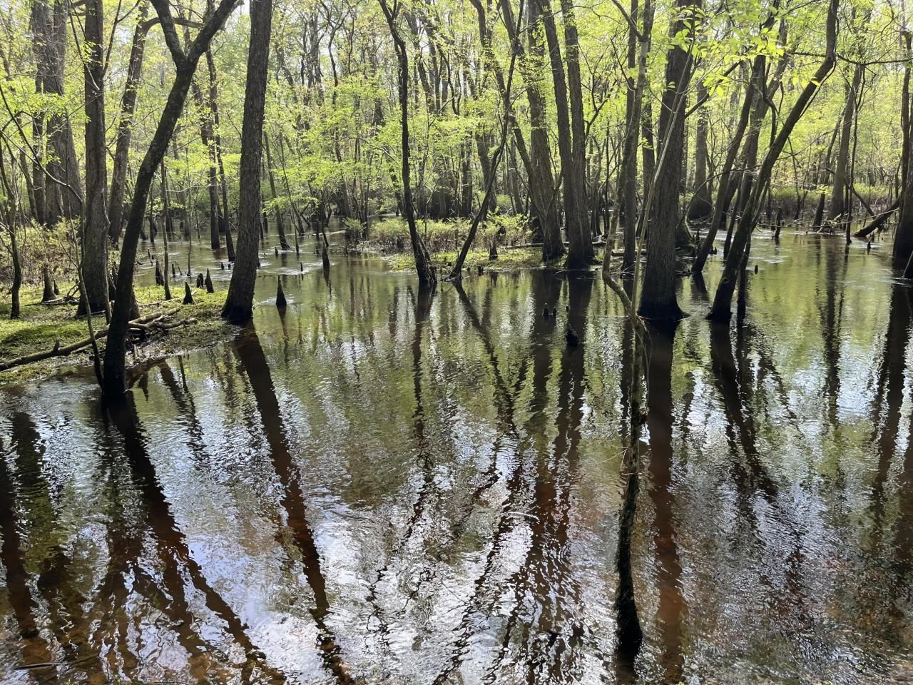 0 Red Breast Court Photo 38