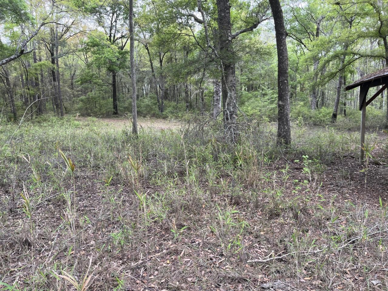 0 Red Breast Court Photo 7