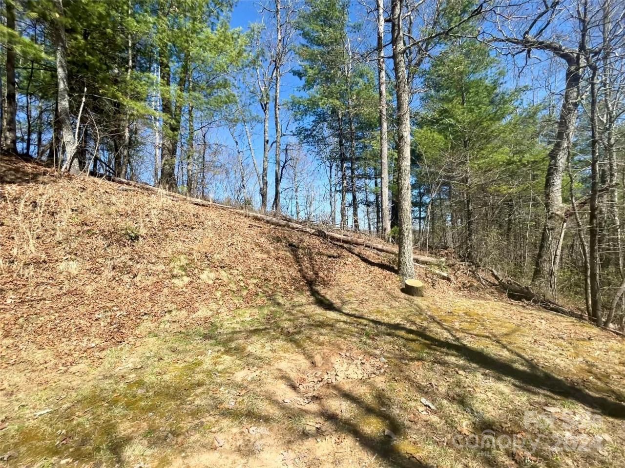 Lot 3 On Saturn Way, Bryson City, NC 28781 Main Photo