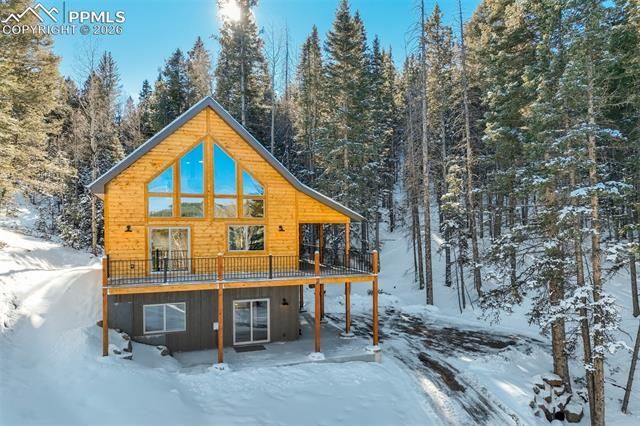 162 Kernite Lane, Divide, CO 80814 Main Photo