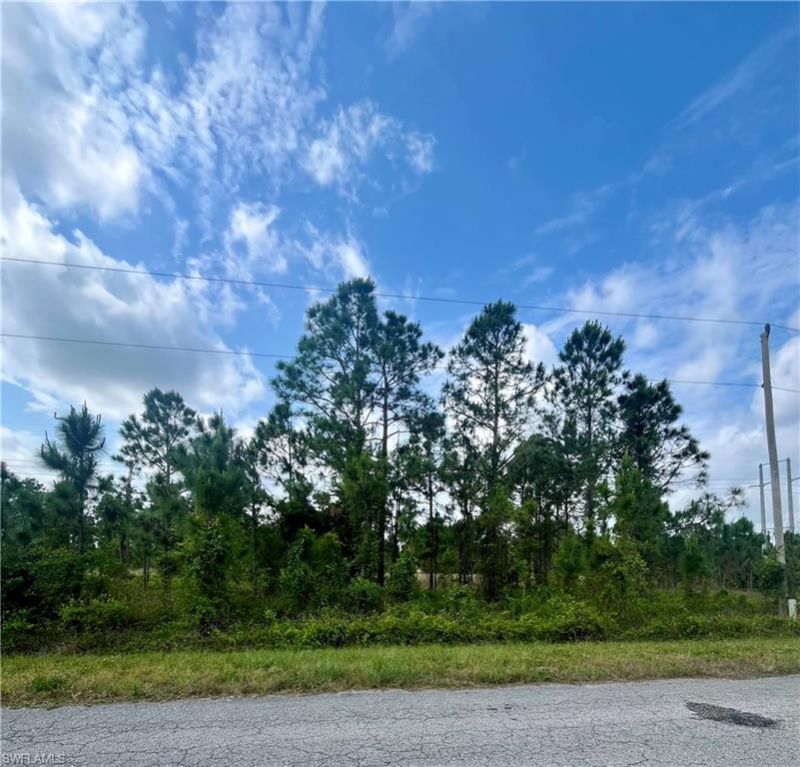 1166 Briarcliffe St, Fort Myers, FL 33913 Photo
