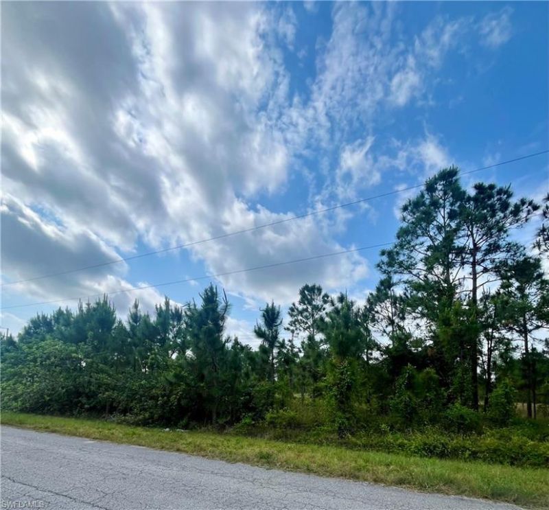 1166 Briarcliffe St, Fort Myers, FL 33913 Photo
