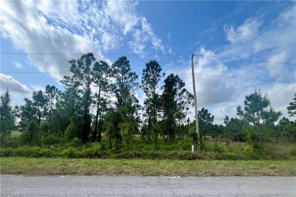 1166 Briarcliffe St, Fort Myers, FL 33913 Photo