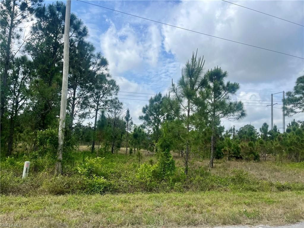 1166 Briarcliffe St, Fort Myers, FL 33913 Photo