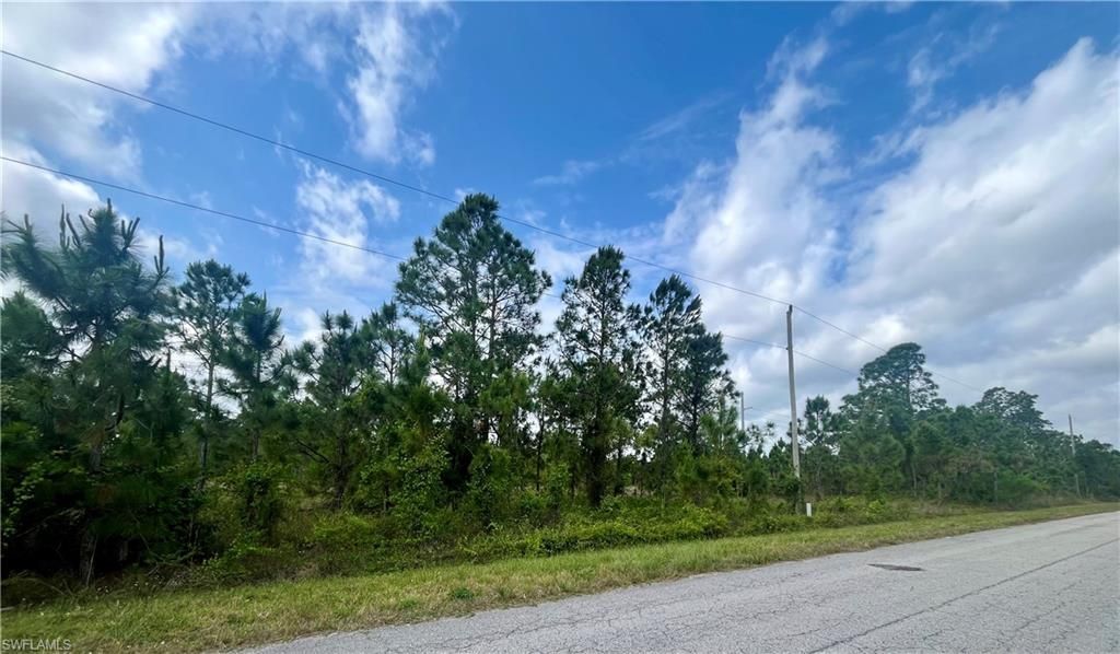 1166 Briarcliffe St, Fort Myers, FL 33913 Photo