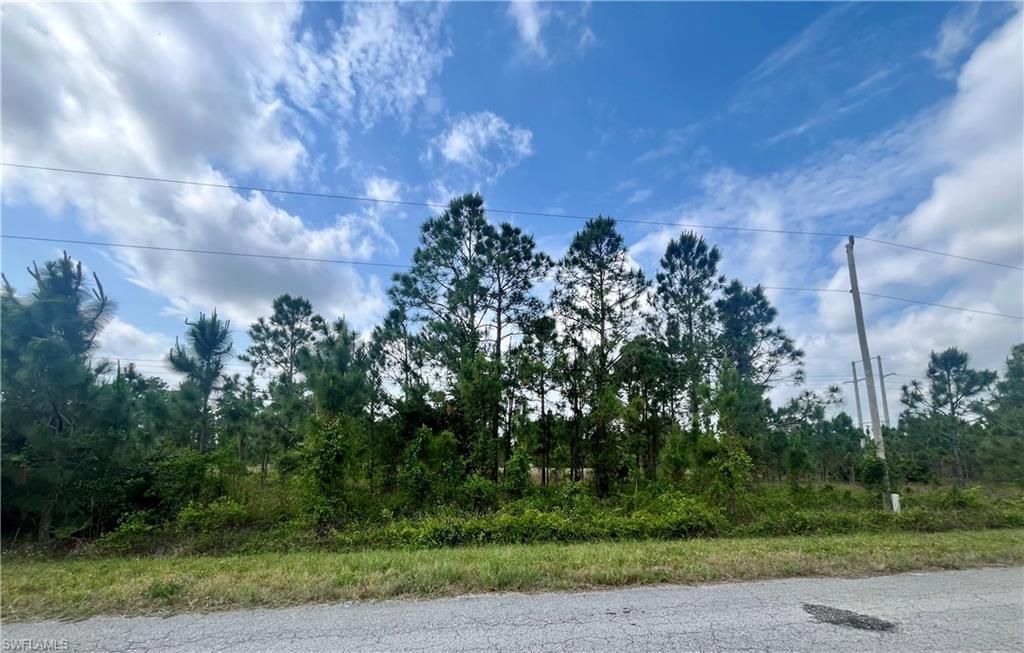 1166 Briarcliffe St, Fort Myers, FL 33913 Photo