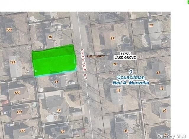 Chester Street, Lake Grove, NY 11755 Main Photo