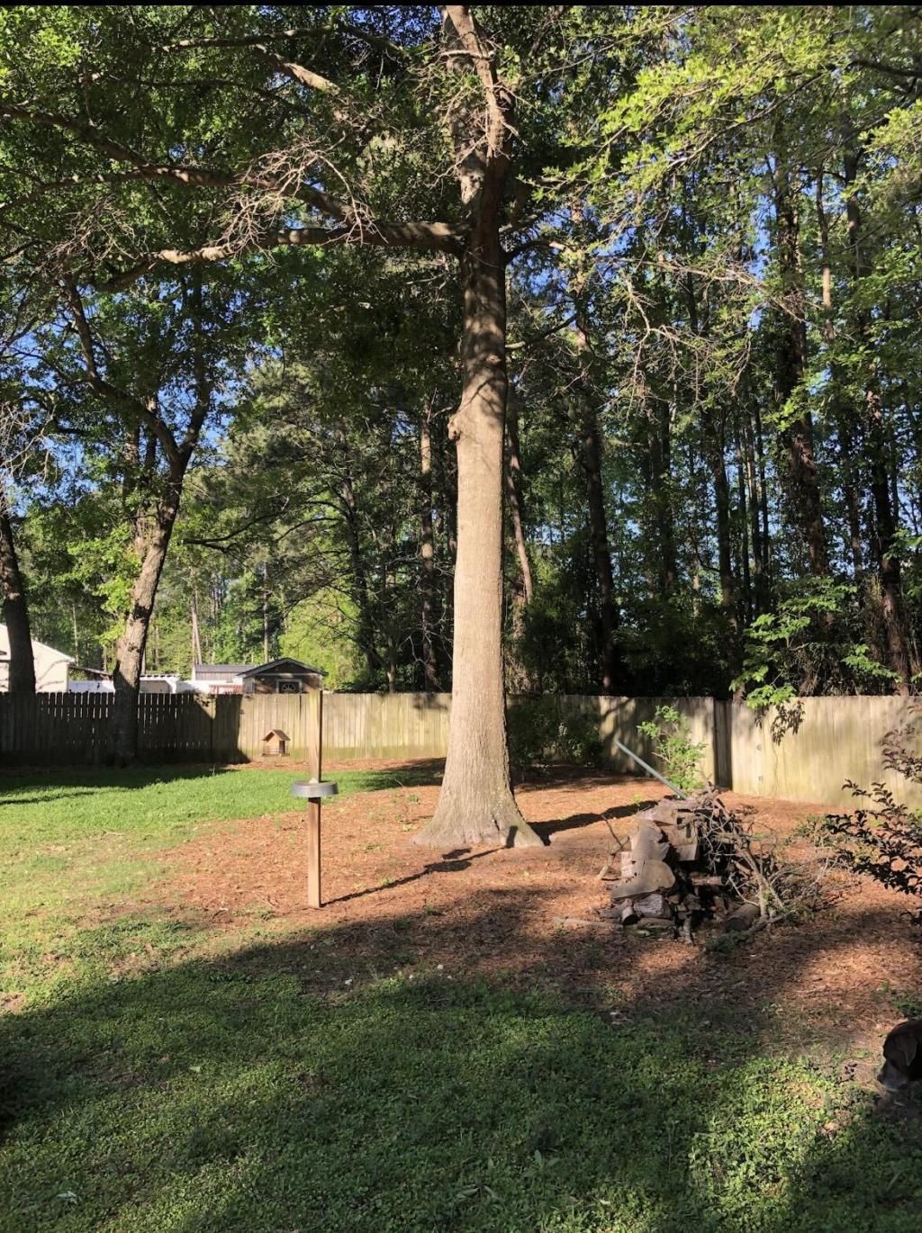 187 Iron Road Photo 22