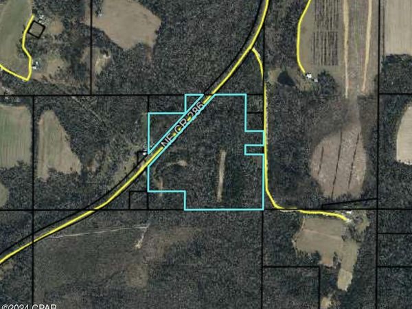 286 NE CR, Grand Ridge, FL 32442