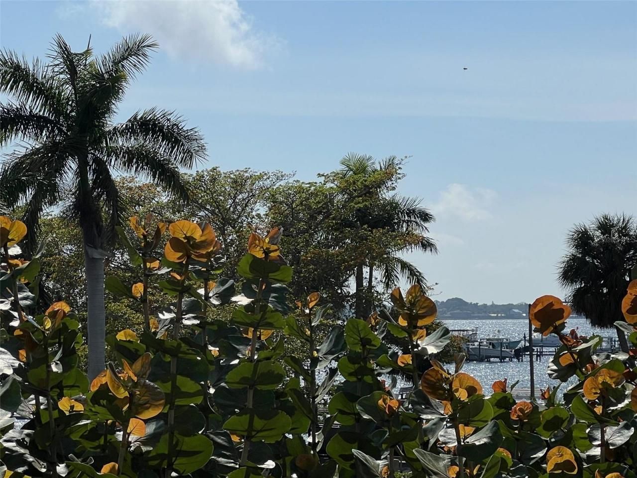 1000 Riverside Drive, Unit B104, Palmetto, FL 34221 Photo